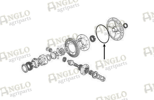 Differentiale O Ring